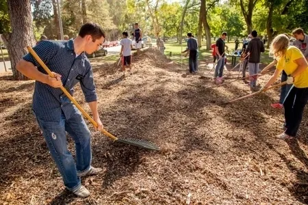 Volunteers raking leaves in a sunny park.