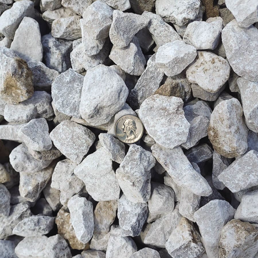 Coin among scattered gray rocks.